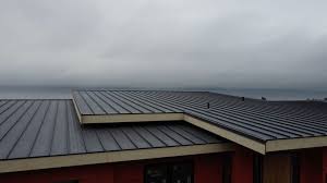 Fast & Reliable Emergency Roof Repairs in Robstown, TX